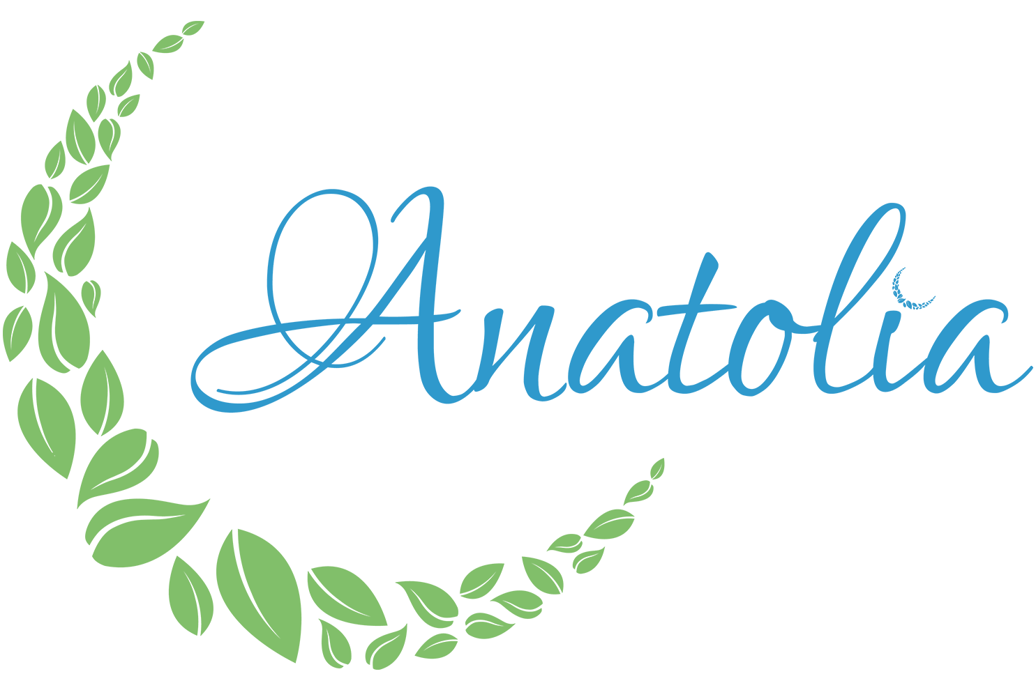 Anatolia NGO Emblem